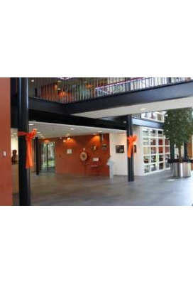 Super Megastrik Rood 120x100x50cm, Met Lint En Zuignappen