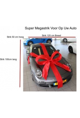 Super Autostrik Salerno Groen 120x100x50cm Met Lint En Zuignap