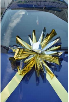 Magnum Bows Maxi Strik Dubbele Kleuren d60x105cm 20 Lussen