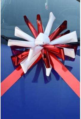 Magnum Bows Maxi Strik Dubbele Kleuren d60x105cm 20 Lussen