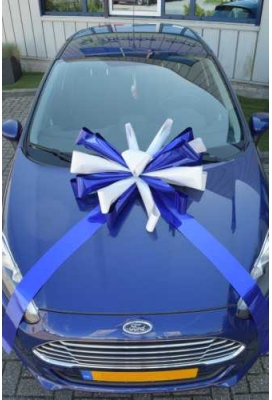 Magnum Bows Maxi Strik Dubbele Kleuren d60x105cm 20 Lussen