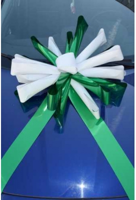 Magnum Bows Maxi Strik Dubbele Kleuren d60x105cm 20 Lussen