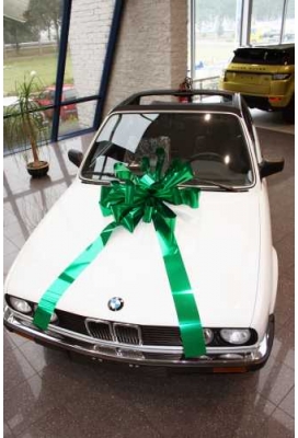 Magnum Bows Maxi Strik Metallic Groen Strik d60x105cm 20 Lussen