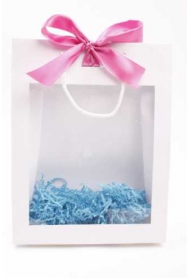 Kadotasjes Trazo Wit Glanzend Met PVC Venster 20x8x29cm 10stuks