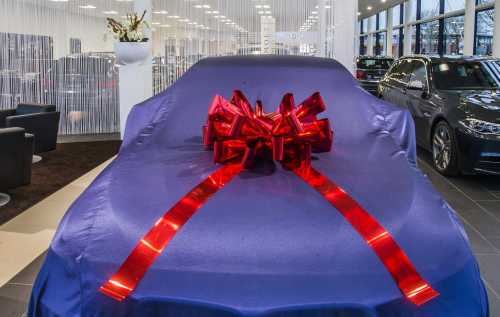 Magnum Bows Maxi Strik Metallic Goud Strik d60x105cm 20 Lussen