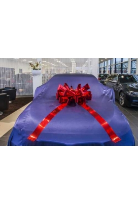 Magnum Bows Maxi Strik Metallic Zilver Strik d60x105cm 20 Lussen